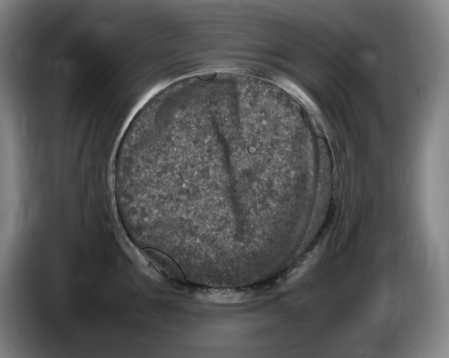 X0000086280907200704191943