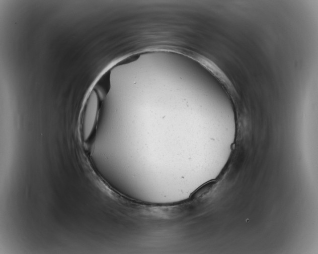 X0000086280908200704191943