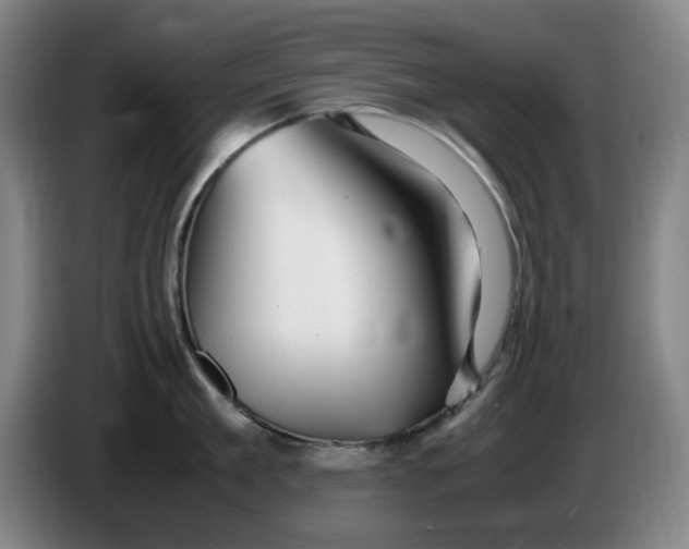 X0000086280909200704191943