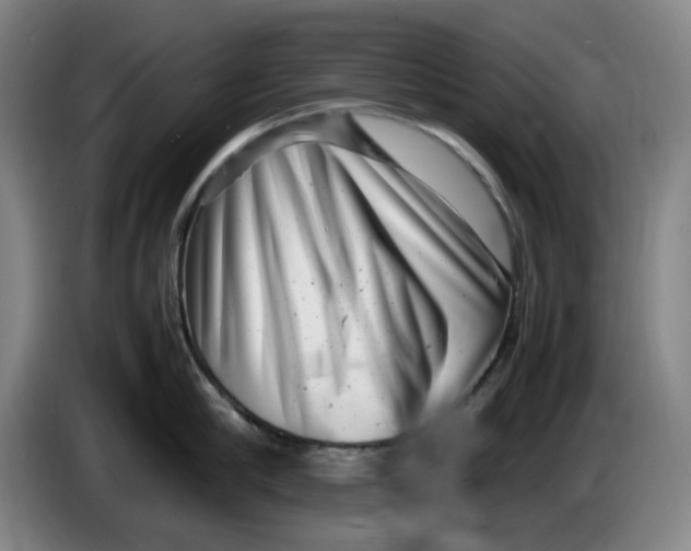 X0000086280910200704191943