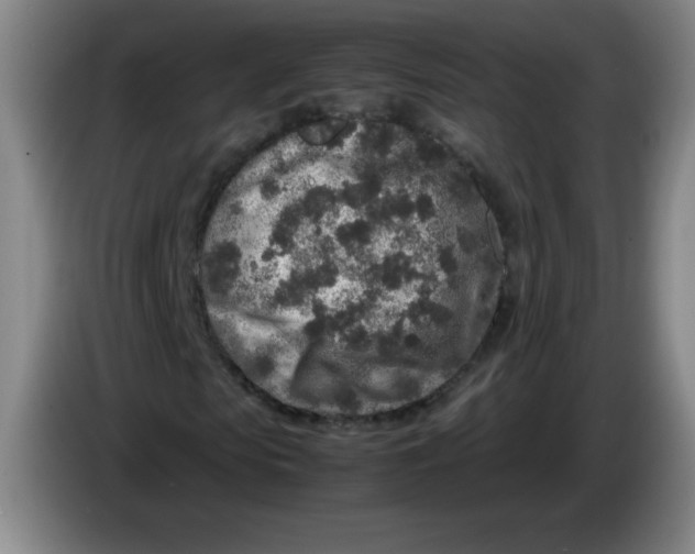 X0000086280913200704191943