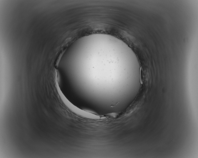 X0000086280916200704191943