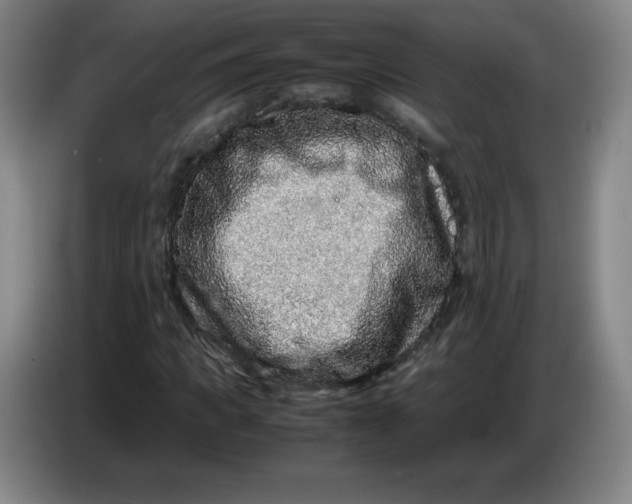 X0000086280917200704191943