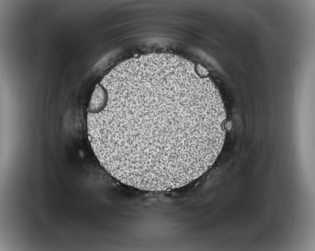 X0000086280918200704191943