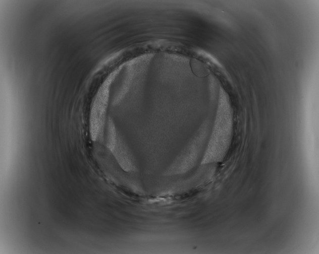 X0000086280919200704191943