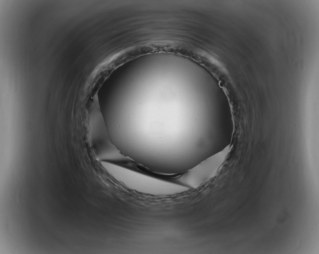 X0000086280920200704191943