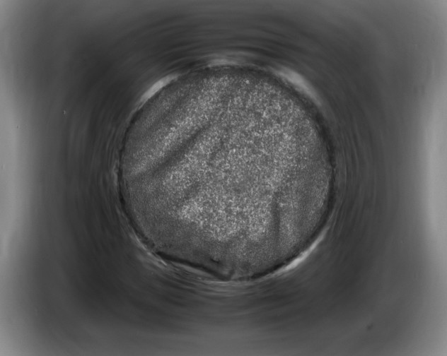 X0000086280921200704191943