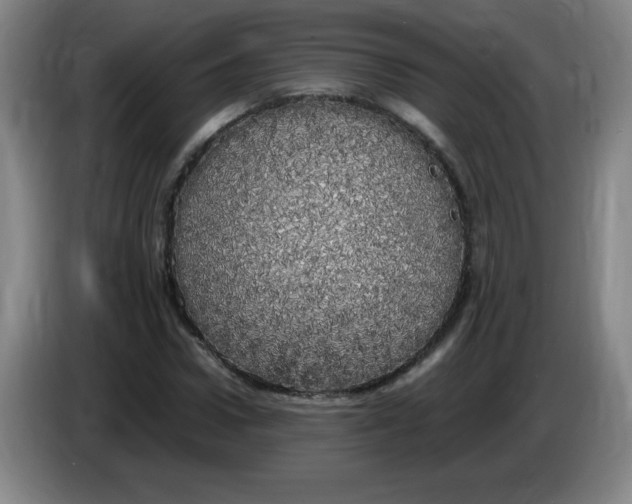 X0000086280922200704191943