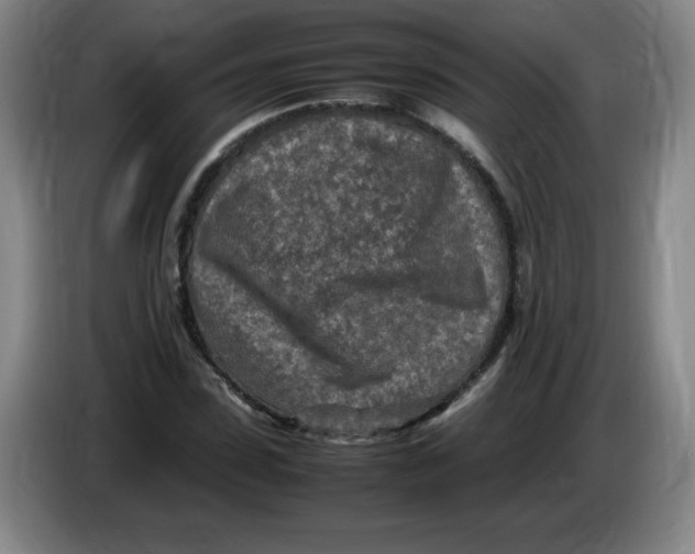 X0000086280923200704191943