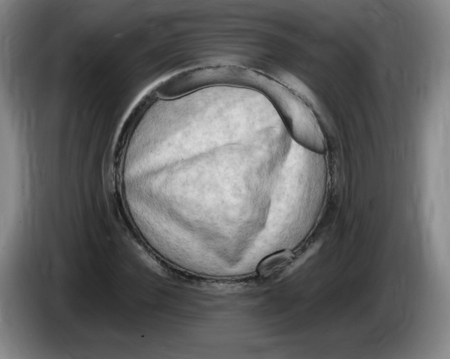 X0000086280924200704191943