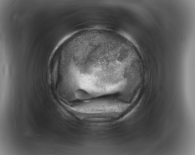 X0000086280925200704191943