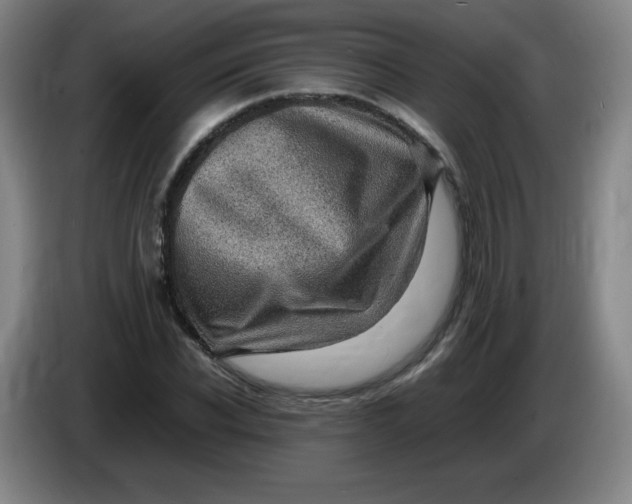 X0000086280926200704191943