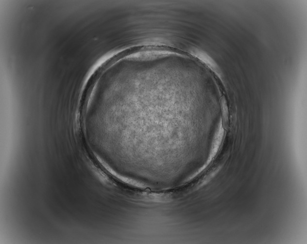 X0000086280928200704191943