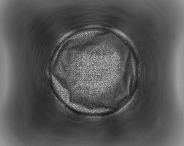 X0000086280929200704191943