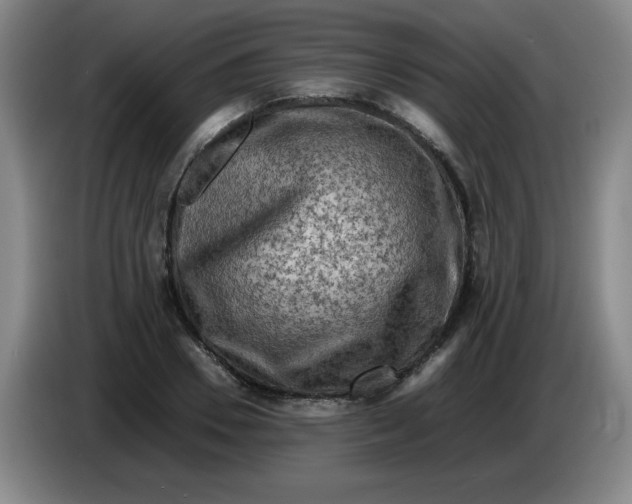 X0000086280930200704191943