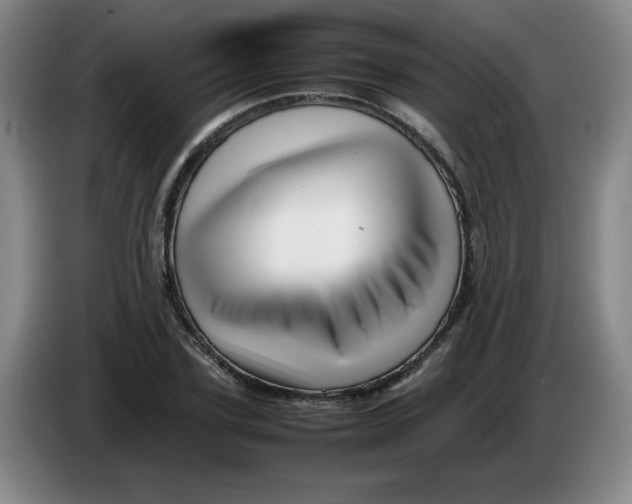 X0000086280931200704191943