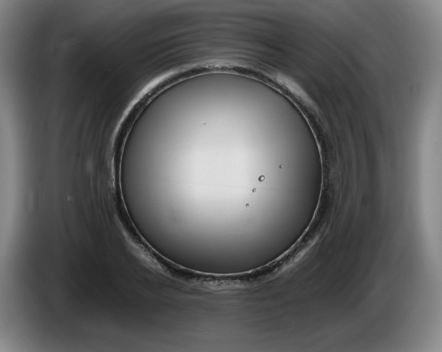 X0000086280934200704191943