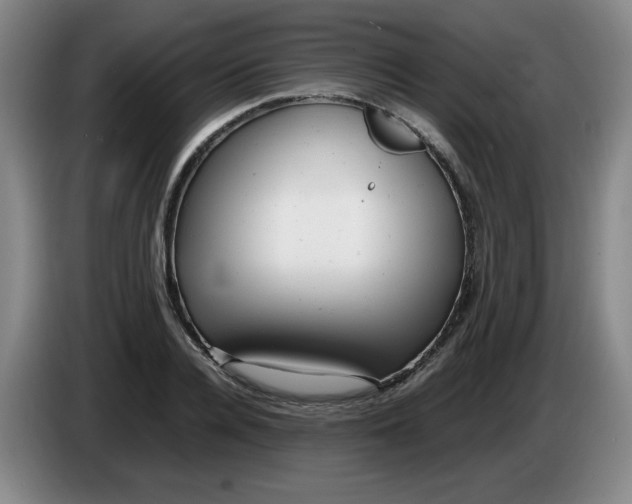 X0000086280936200704191943