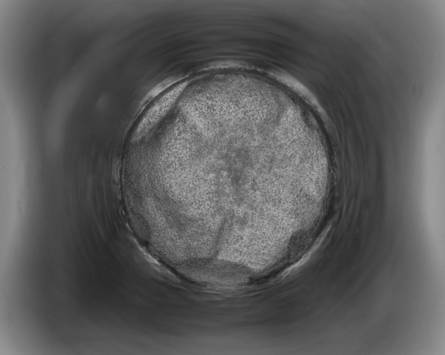 X0000086280937200704191943