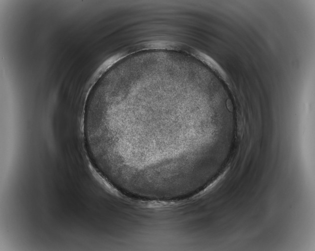 X0000086280938200704191943