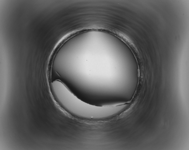 X0000086280942200704191943