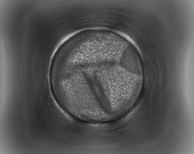 X0000086280943200704191943