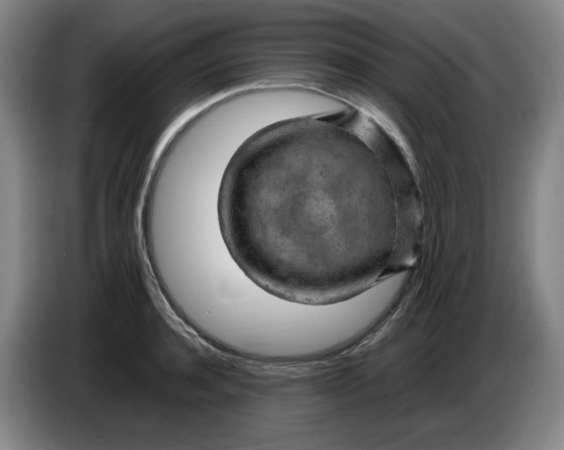 X0000086280944200704191943