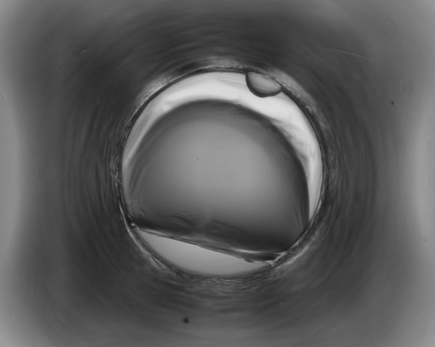 X0000086280945200704191943