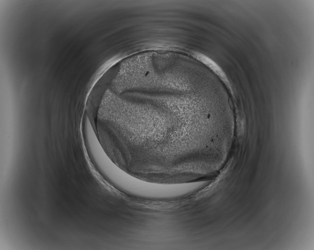 X0000086280946200704191943