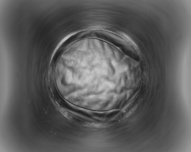 X0000086280948200704191943