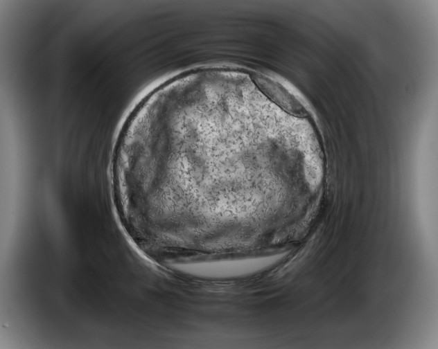 X0000086280951200704191943