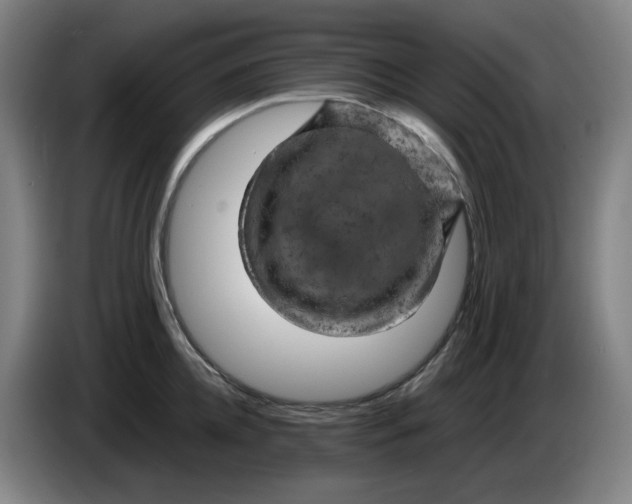 X0000086280952200704191943