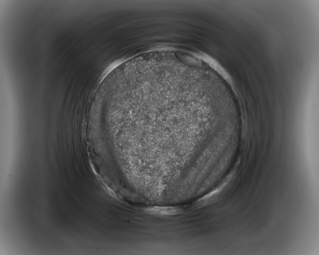 X0000086280953200704191943