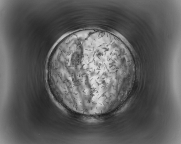 X0000086280955200704191943