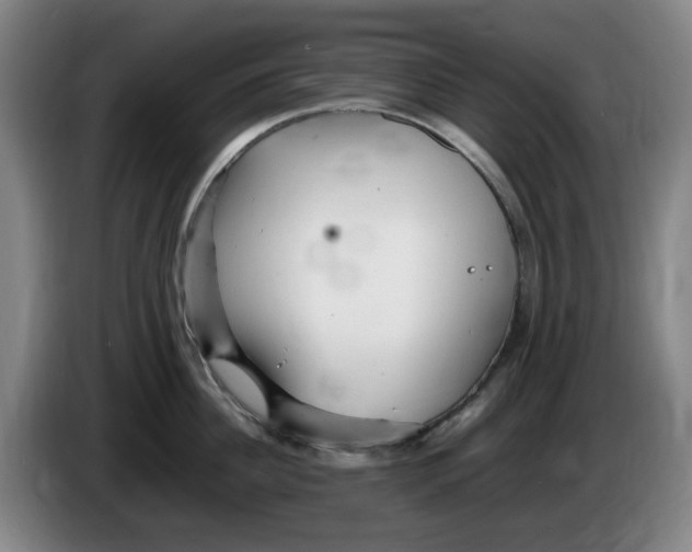 X0000086280956200704191943