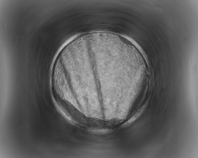 X0000086280957200704191943