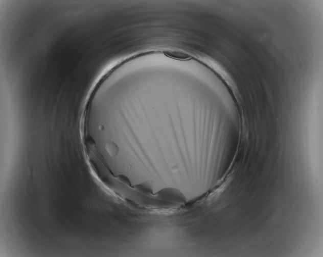 X0000086280958200704191943