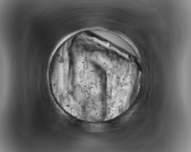 X0000086280959200704191943