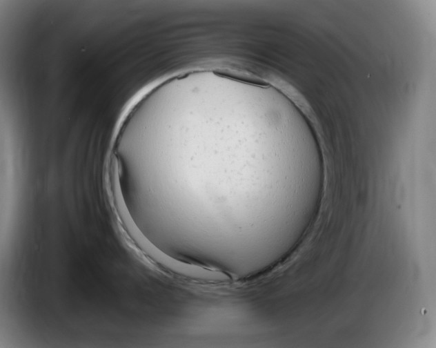 X0000086280960200704191943