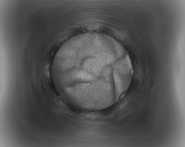 X0000086280962200704191943