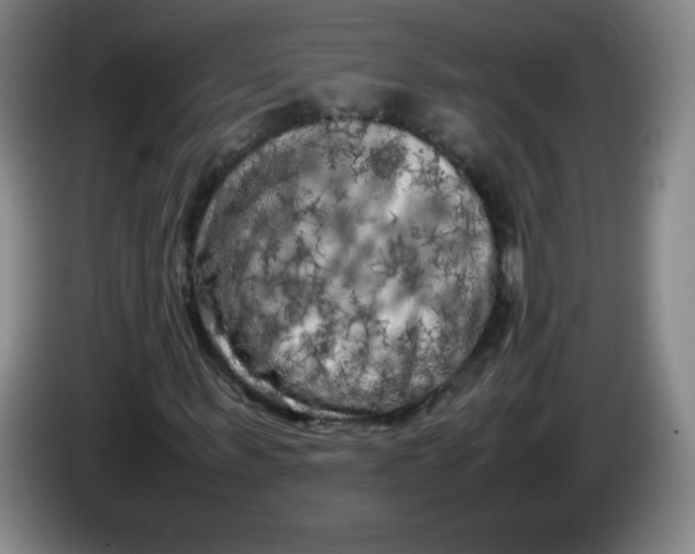 X0000086280963200704191943