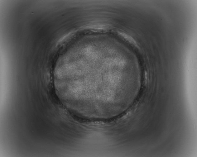 X0000086280966200704191943