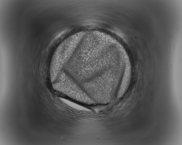 X0000086280967200704191943