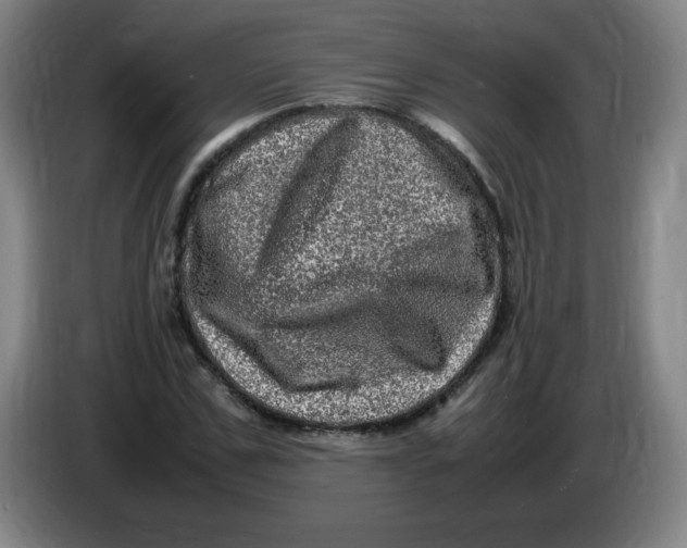 X0000086280971200704191942