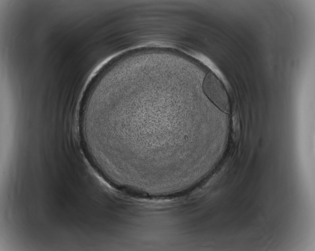 X0000086280972200704191942