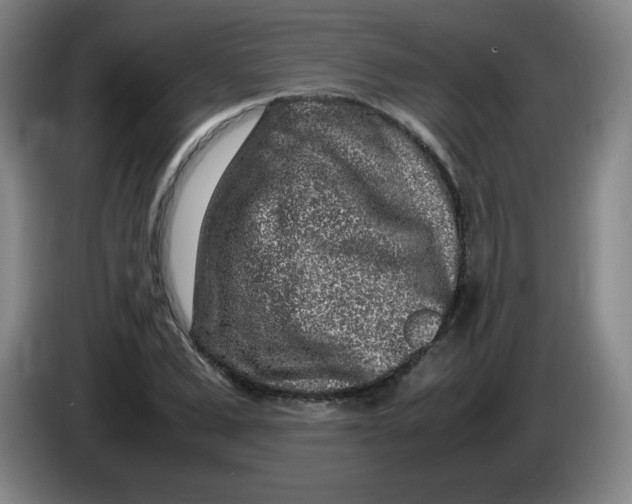 X0000086280975200704191942