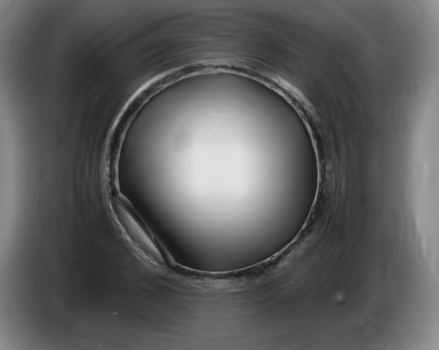 X0000086280976200704191942