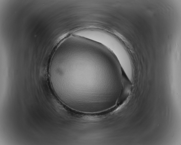 X0000086280977200704191942