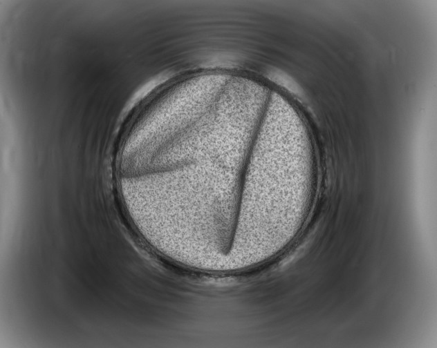 X0000086280978200704191942