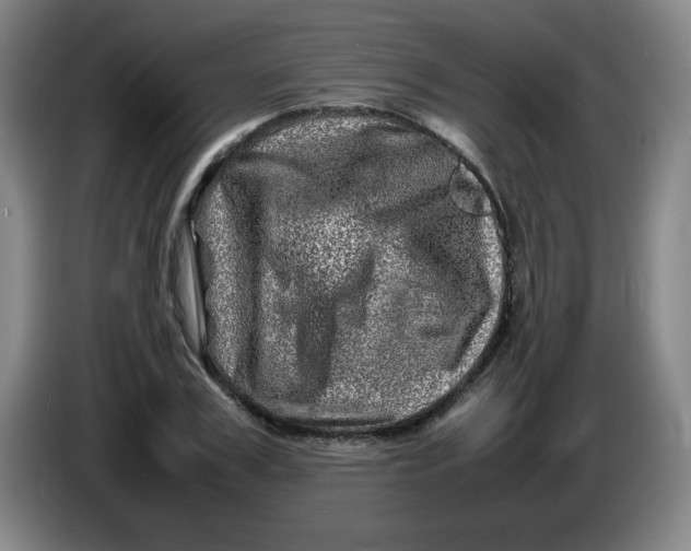 X0000086280979200704191942